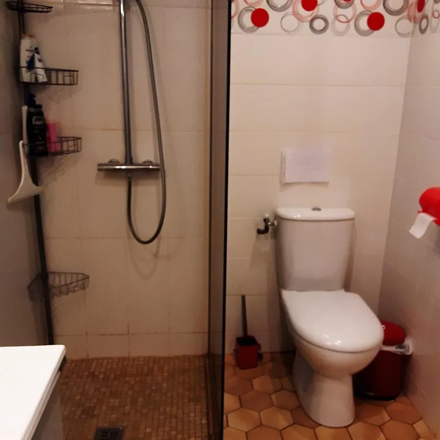 Apartment Appartement Charmant A Saint Victor De Cessieu 30 M² Terrasse France